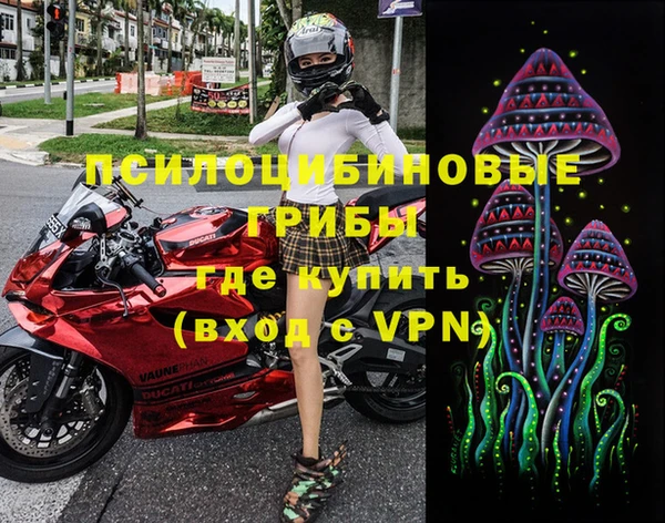 дмт Фурманов