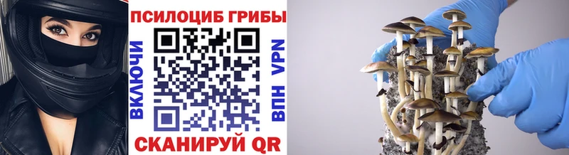 Купить закладки  Избербаш  Галлюциногенные грибы мухоморы 